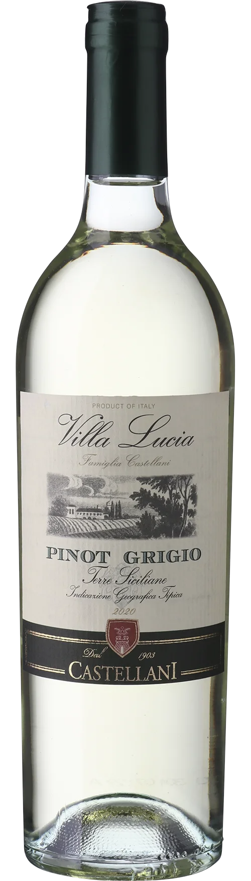 CASTELLANI VILLA LUCIA PINOT GRIGIO 2024